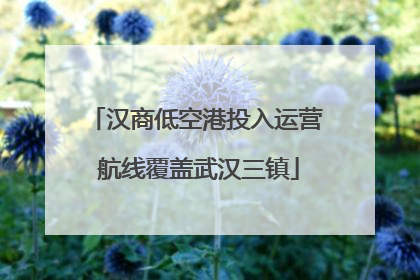 汉商低空港投入运营 航线覆盖武汉三镇