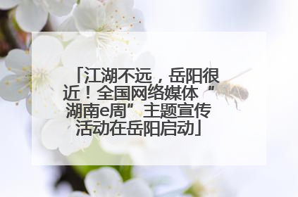江湖不远，岳阳很近！全国网络媒体“湖南e周”主题宣传活动在岳阳启动