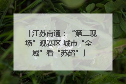 江苏南通：“第二现场”观赛区 城市“全域”看“苏超”