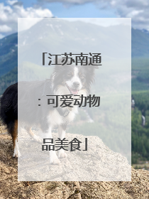 江苏南通：可爱动物品美食