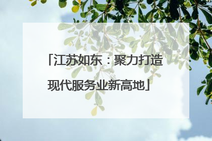江苏如东：聚力打造现代服务业新高地