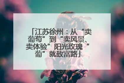 江苏徐州：从“卖葡萄”到“卖风景、卖体验”阳光玫瑰“葡”就致富路