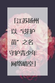 江苏扬州以“i芽护苗”之名 守护青少年网络晴空