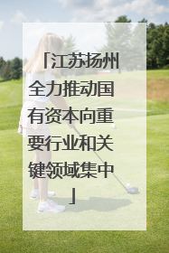 江苏扬州全力推动国有资本向重要行业和关键领域集中