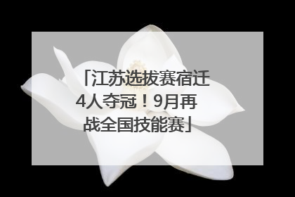 江苏选拔赛宿迁4人夺冠！9月再战全国技能赛