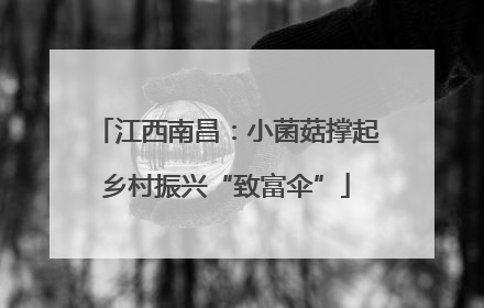 江西南昌：小菌菇撑起乡村振兴“致富伞”