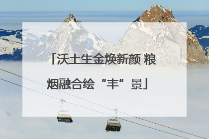 沃土生金焕新颜 粮烟融合绘“丰”景