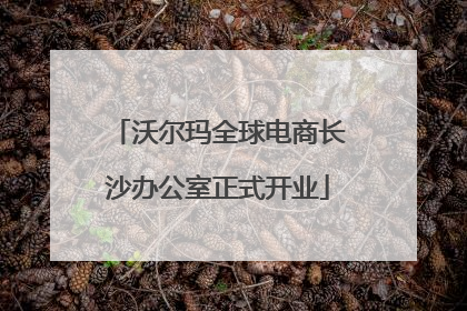 沃尔玛全球电商长沙办公室正式开业