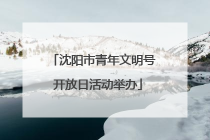 沈阳市青年文明号开放日活动举办