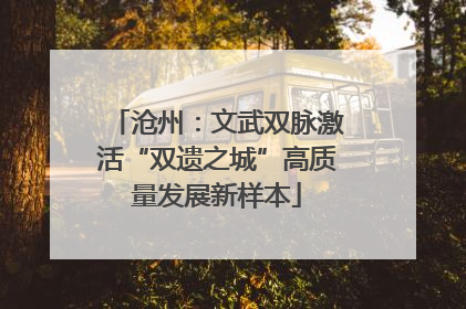 沧州：文武双脉激活“双遗之城”高质量发展新样本