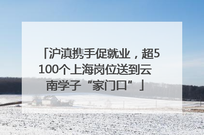 沪滇携手促就业，超5100个上海岗位送到云南学子“家门口”