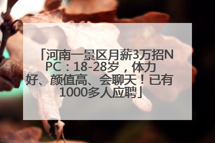 河南一景区月薪3万招NPC：18-28岁，体力好、颜值高、会聊天！已有1000多人应聘