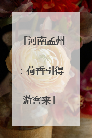 河南孟州：荷香引得游客来