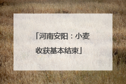 河南安阳：小麦收获基本结束