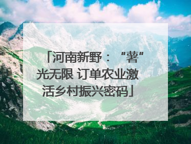 河南新野：“薯”光无限 订单农业激活乡村振兴密码