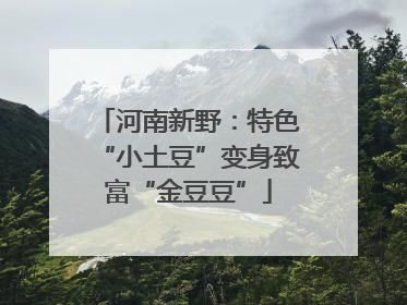 河南新野：特色“小土豆”变身致富“金豆豆”