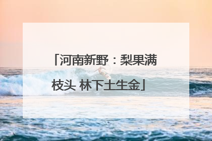 河南新野：梨果满枝头 林下土生金