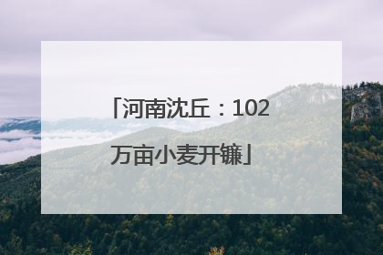 河南沈丘：102 万亩小麦开镰