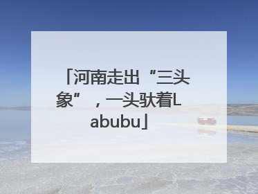 河南走出“三头象”，一头驮着Labubu