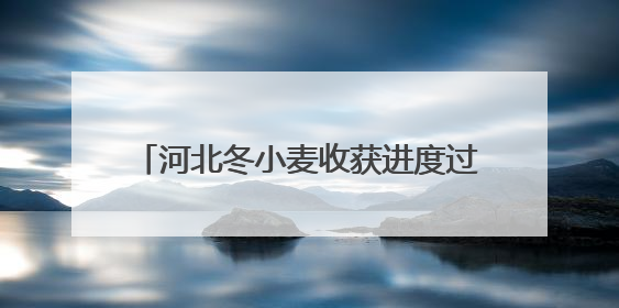 河北冬小麦收获进度过半 夏玉米有序种植