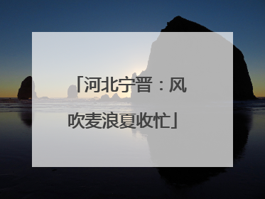 河北宁晋：风吹麦浪夏收忙