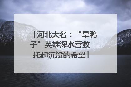河北大名：“旱鸭子”英雄深水营救 托起沉没的希望