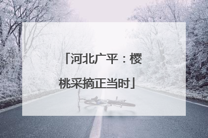 河北广平：樱桃采摘正当时