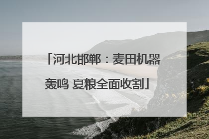 河北邯郸：麦田机器轰鸣 夏粮全面收割