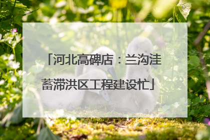 河北高碑店：兰沟洼蓄滞洪区工程建设忙