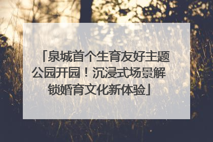 泉城首个生育友好主题公园开园！沉浸式场景解锁婚育文化新体验