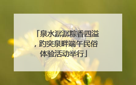 泉水潺潺粽香四溢，趵突泉畔端午民俗体验活动举行