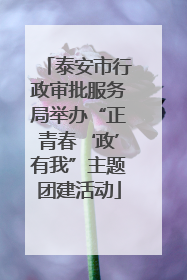 泰安市行政审批服务局举办“正青春‘政’有我”主题团建活动