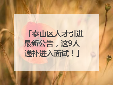 泰山区人才引进最新公告，这9人递补进入面试！