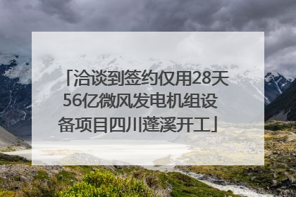 洽谈到签约仅用28天 56亿微风发电机组设备项目四川蓬溪开工