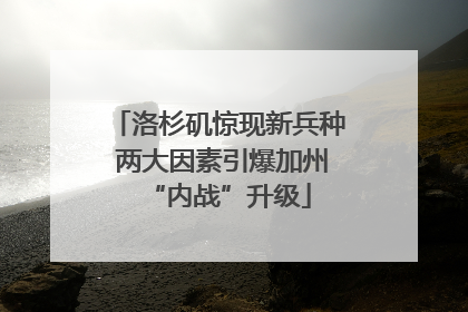 洛杉矶惊现新兵种 两大因素引爆加州“内战”升级