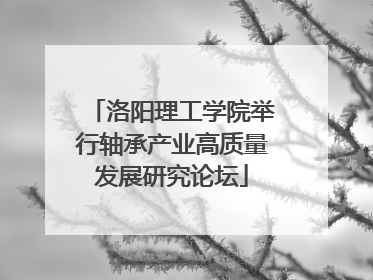 洛阳理工学院举行轴承产业高质量发展研究论坛