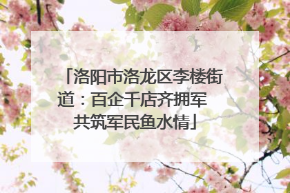 洛阳市洛龙区李楼街道：百企千店齐拥军 共筑军民鱼水情