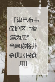 津巴布韦保护区“象满为患”，当局称将扑杀供居民食用
