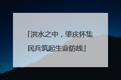 洪水之中，肇庆怀集民兵筑起生命防线