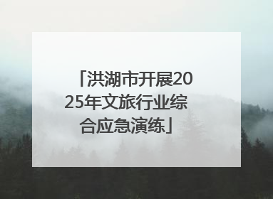 洪湖市开展2025年文旅行业综合应急演练