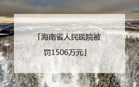 海南省人民医院被罚1506万元