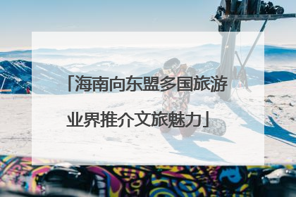 海南向东盟多国旅游业界推介文旅魅力