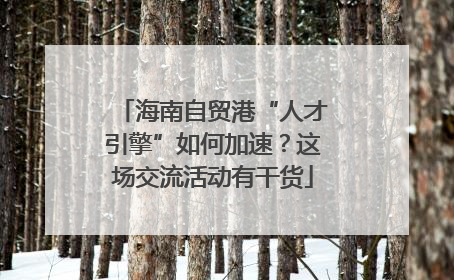 海南自贸港“人才引擎”如何加速？这场交流活动有干货
