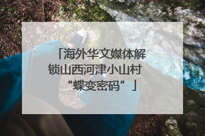 海外华文媒体解锁山西河津小山村“蝶变密码”