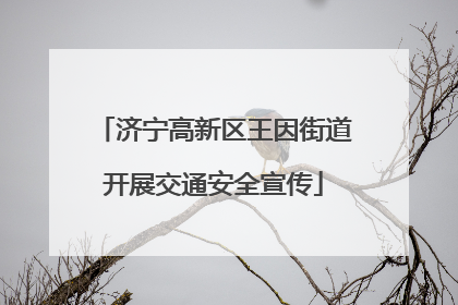 济宁高新区王因街道开展交通安全宣传