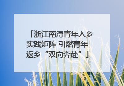 浙江南浔青年入乡实践矩阵 引燃青年返乡“双向奔赴”