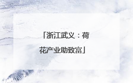 浙江武义：荷花产业助致富