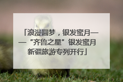 浪漫圆梦，银发蜜月——“齐鲁之星”银发蜜月新疆旅游专列开行