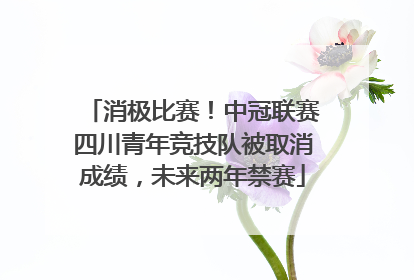 消极比赛！中冠联赛四川青年竞技队被取消成绩，未来两年禁赛