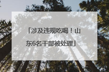 涉及违规吃喝！山东6名干部被处理